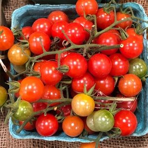 Meet your Posher, Caroline